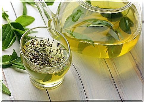 green tea against halitosis