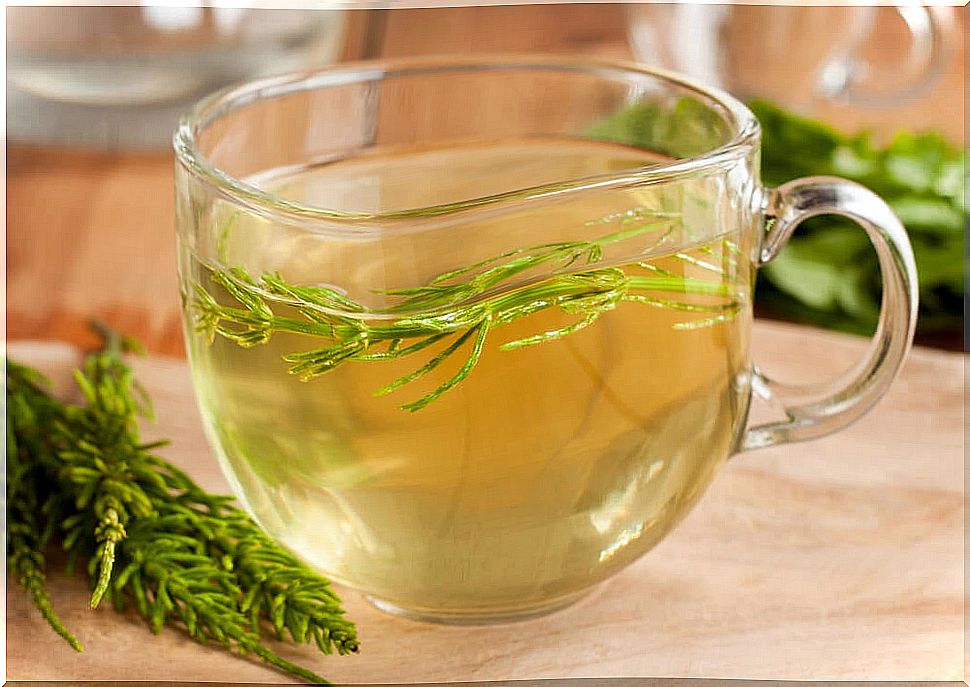 Horsetail tea.