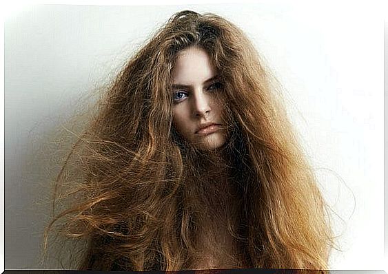 5 natural ingredients to treat dry hair