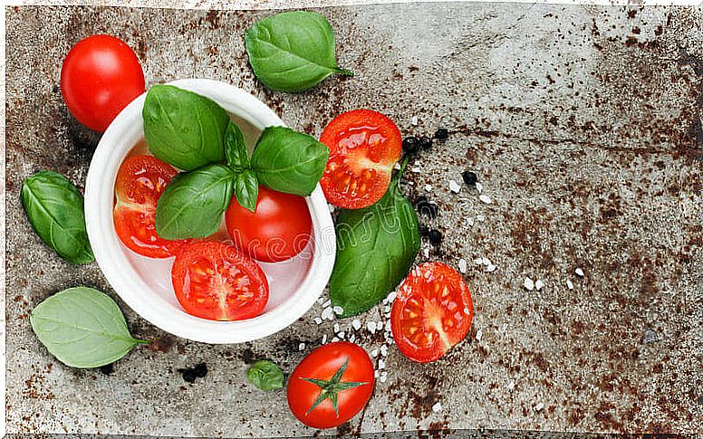 Salad with tomatoes and basil