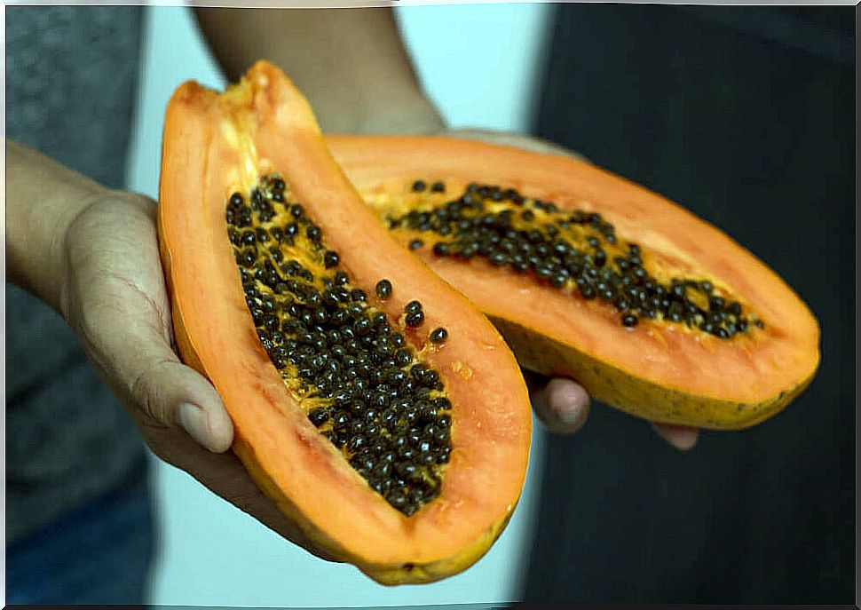 Papaya seed kidney health