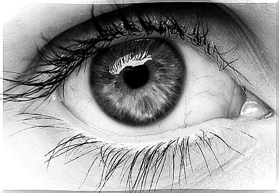 Human eye.