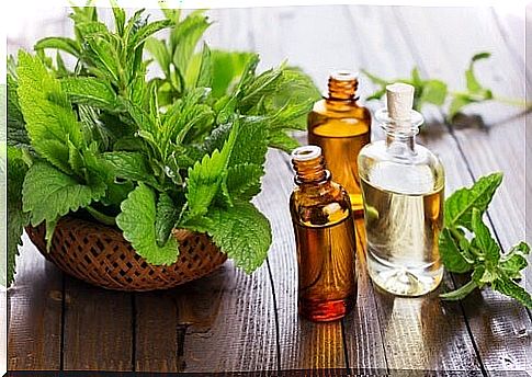 Peppermint and its soothing properties