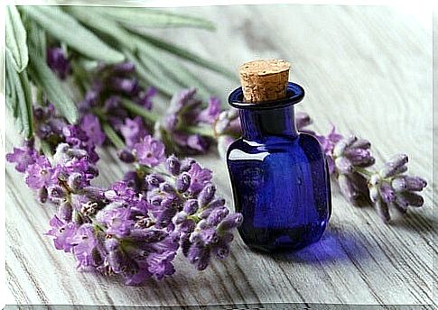 Lavender essential oil to relax