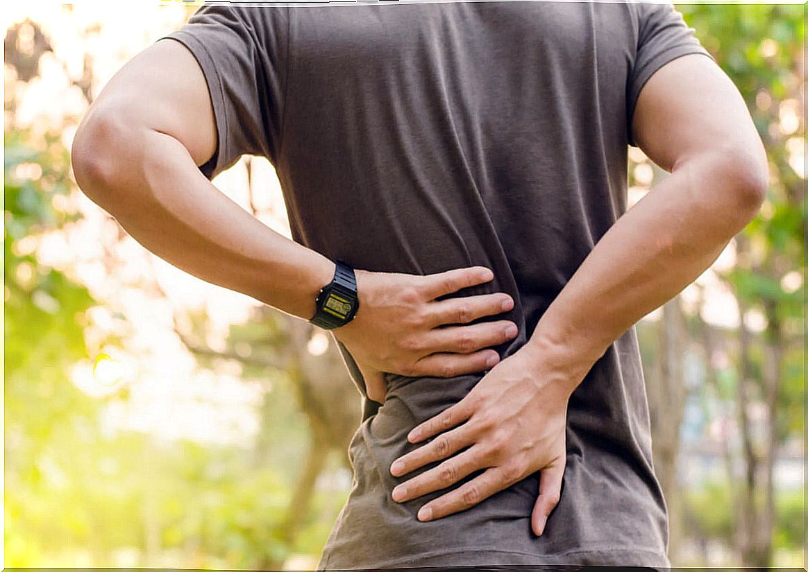 7 stretches that will help you if you have low back pain