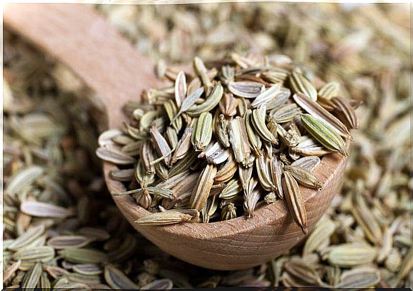 fennel seeds