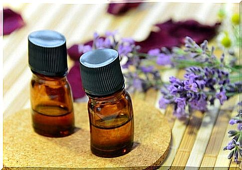 lavender essential oil