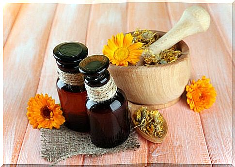 calendula oil