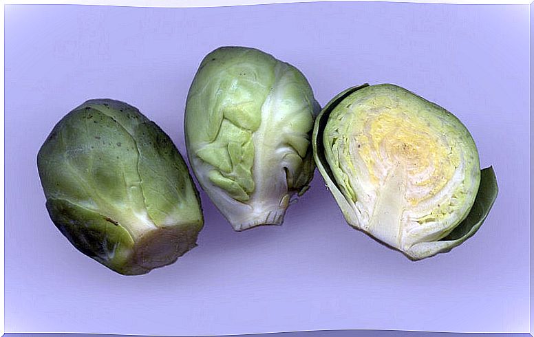 Brussels cabbage