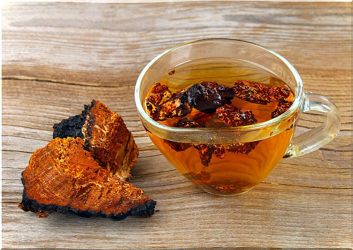 Chaga mushroom tea.