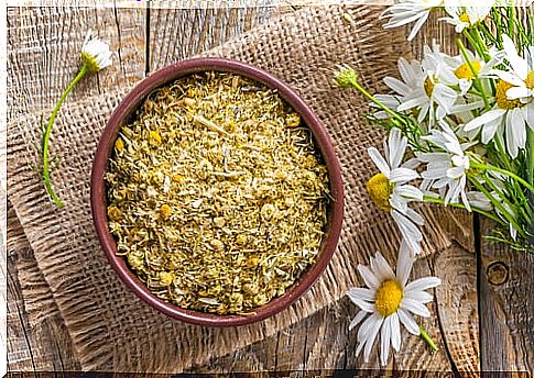 Chamomile benefits