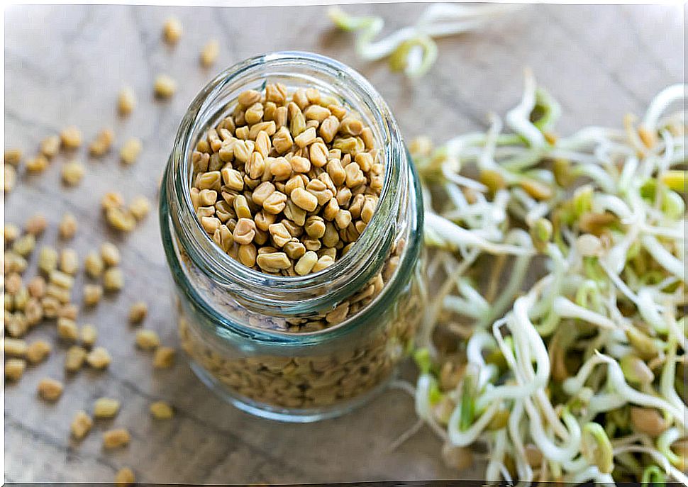 Jar with fenugreek or fenugreek