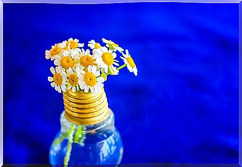 You can make vases from old light bulbs.