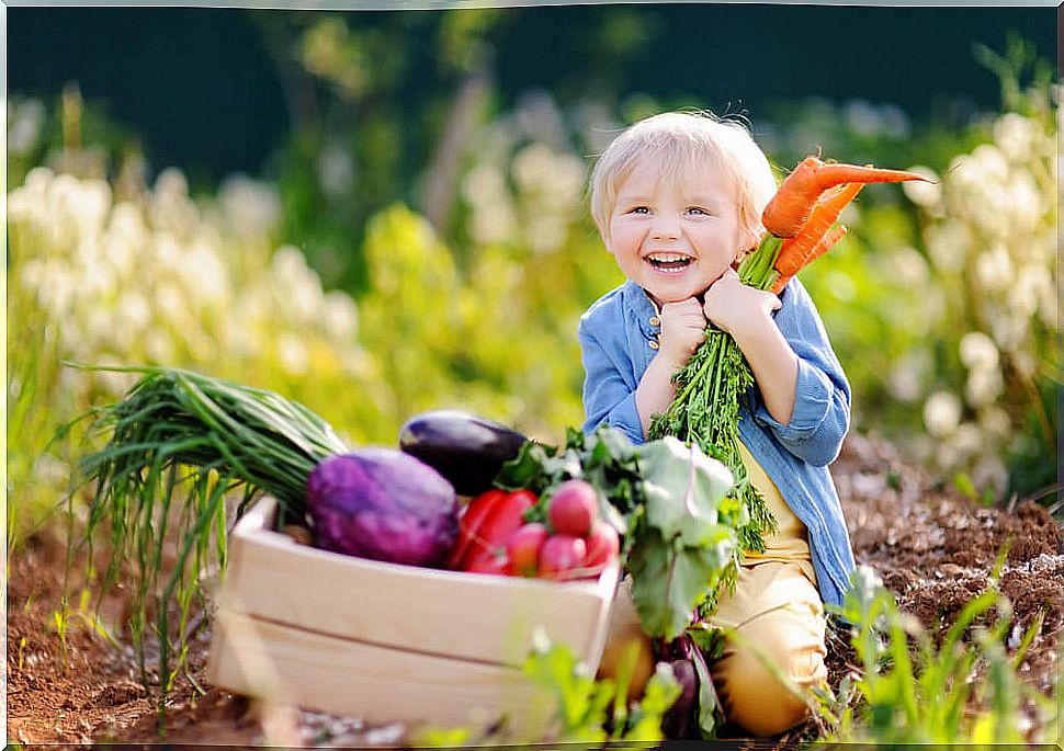 The need for nutrients and dietary supplements in children