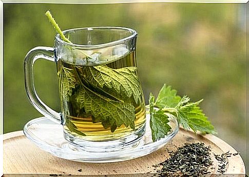 Nettle-tea