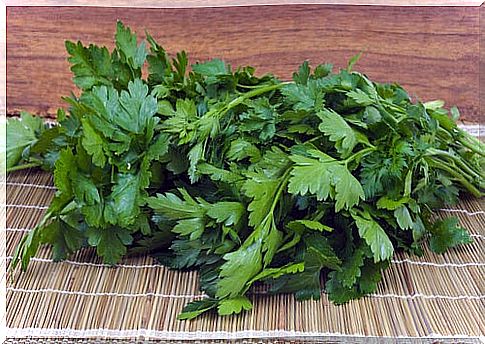 Parsley to fight bad breath