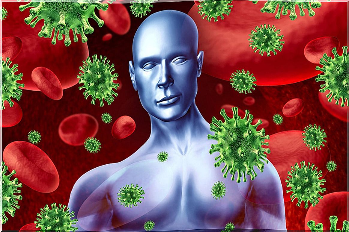 HIV immune system