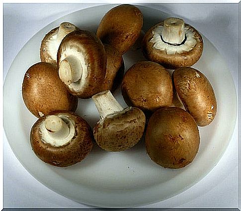 With-this-stuffed-mushroom-recipe-you-will-delight-your-guests.