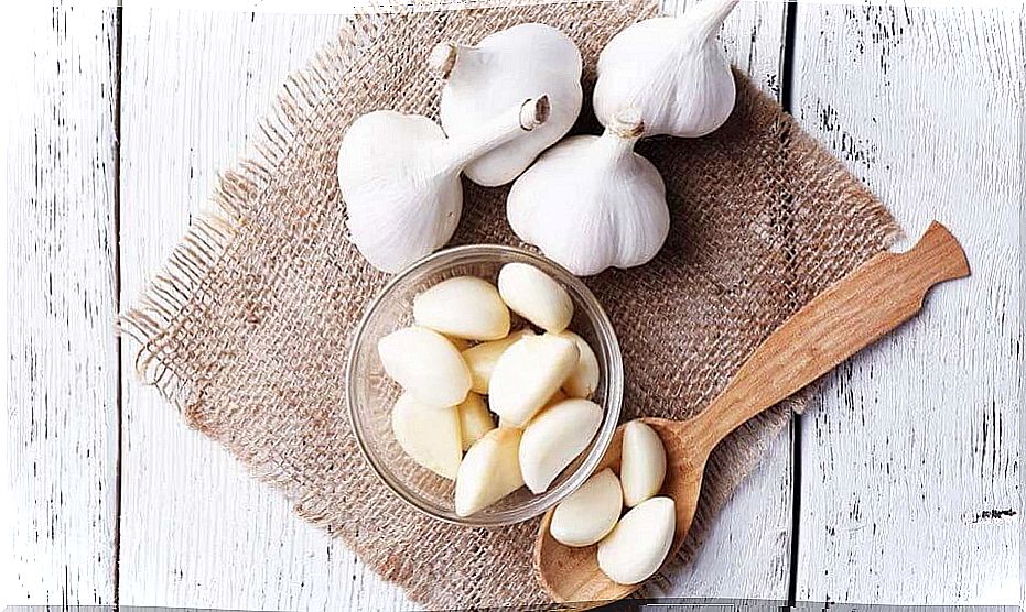 White garlic heads and cloves