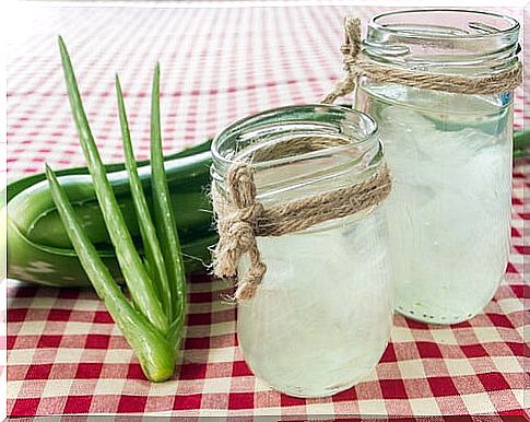 aloe vera to fight allergies