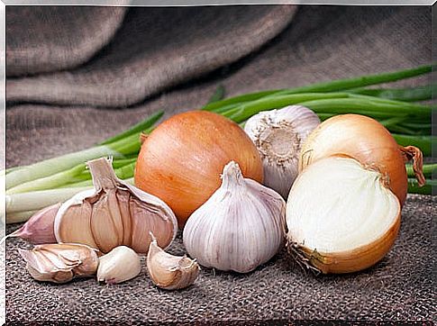 onion and garlic