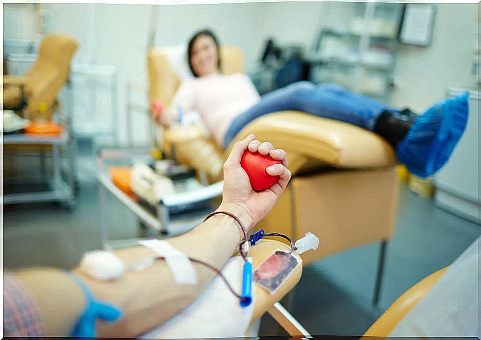 What are the requirements that a blood donor must meet?