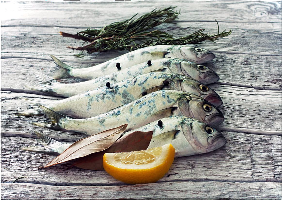 Raw blue fish for menstrual cycles